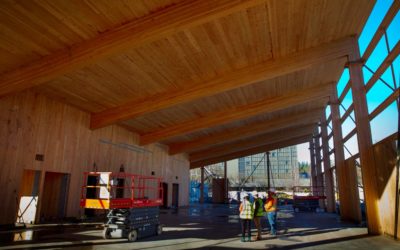 Year-round Lane County Farmers Market pavilion takes shape in downtown Eugene’s Park Blocks