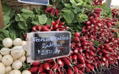 Lane County Farmers Market kicks off spring season